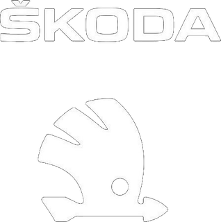 Ремонт Skoda в Краснодаре